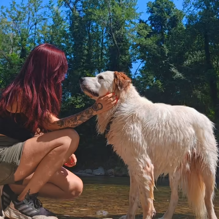 Giorgia accanto al cane in un torrente di montagna